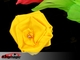 Seda derreter a Rose (amarelo)