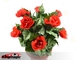 Blomstrende Rose Bush - fjernbetjening - 10 blomster