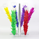 Flower Feather Duster cambio colore