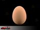 Emulational яйце - латексні яйце - коричневий