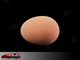 Emulational huevo - huevo del látex - Brown