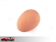 Emulational muna - lateks muna - pruun