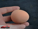 Emulational huevo - huevo del látex - Brown