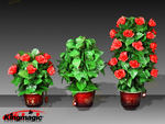 खिलने गुलाब बुश - रिमोट कंट्रोल - 30 फूल