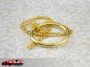 Chain and Ring (Gold)