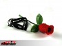Vanishing Rose  Исчезающие Роуз